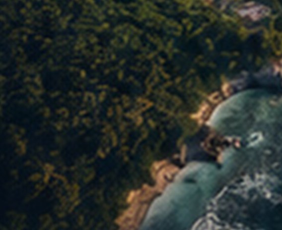 The Belize shoreline