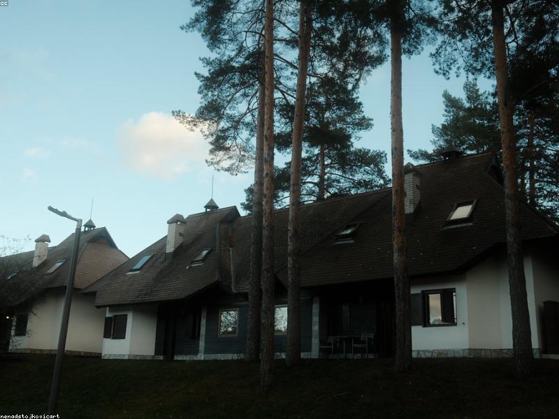 Renovated Craftsman Near the Park