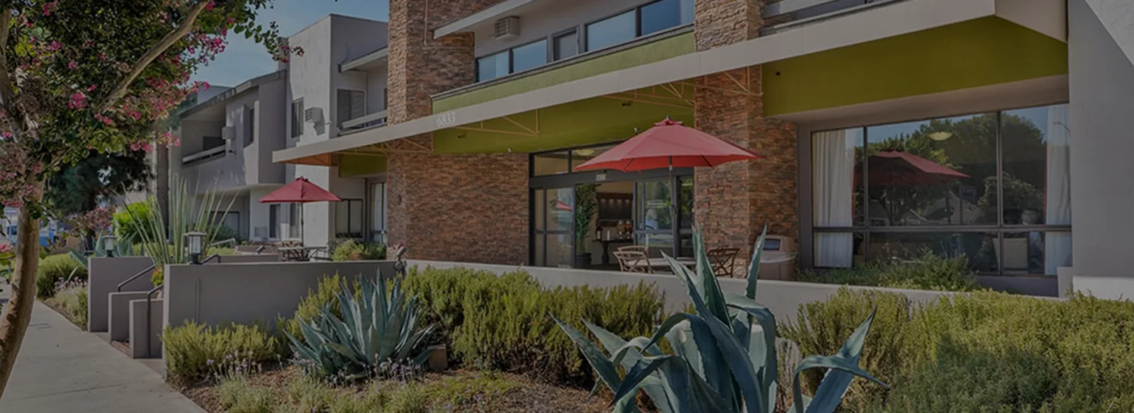 The Valley Silvertown frontage on Fallbrook Avenue with drought-tolerant planting