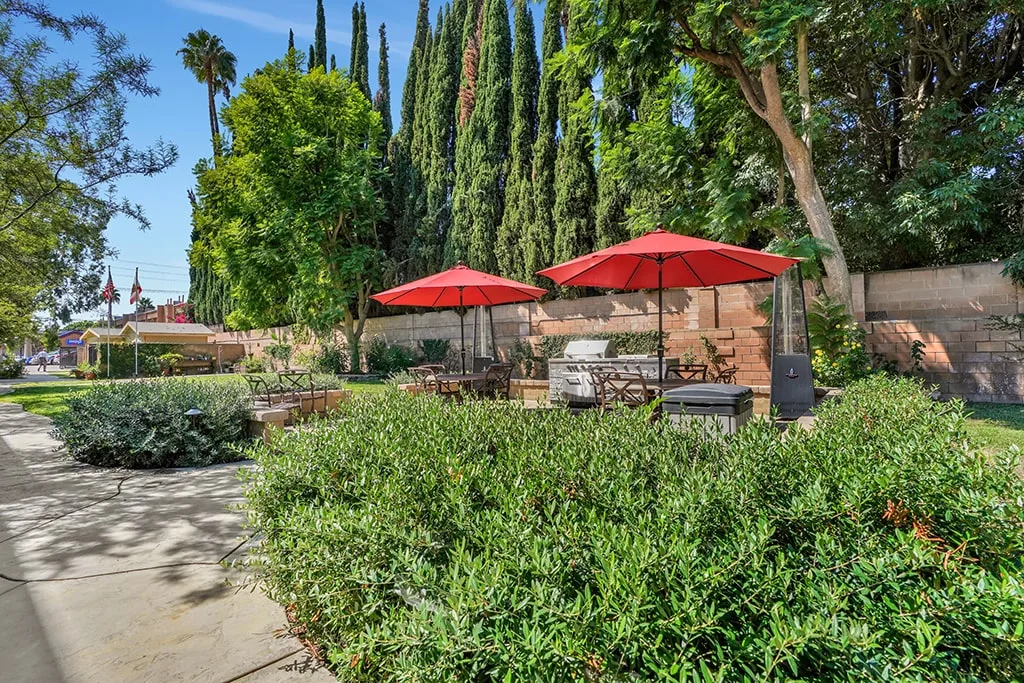 Patio seating with red umbrellas beneath tall cypress trees