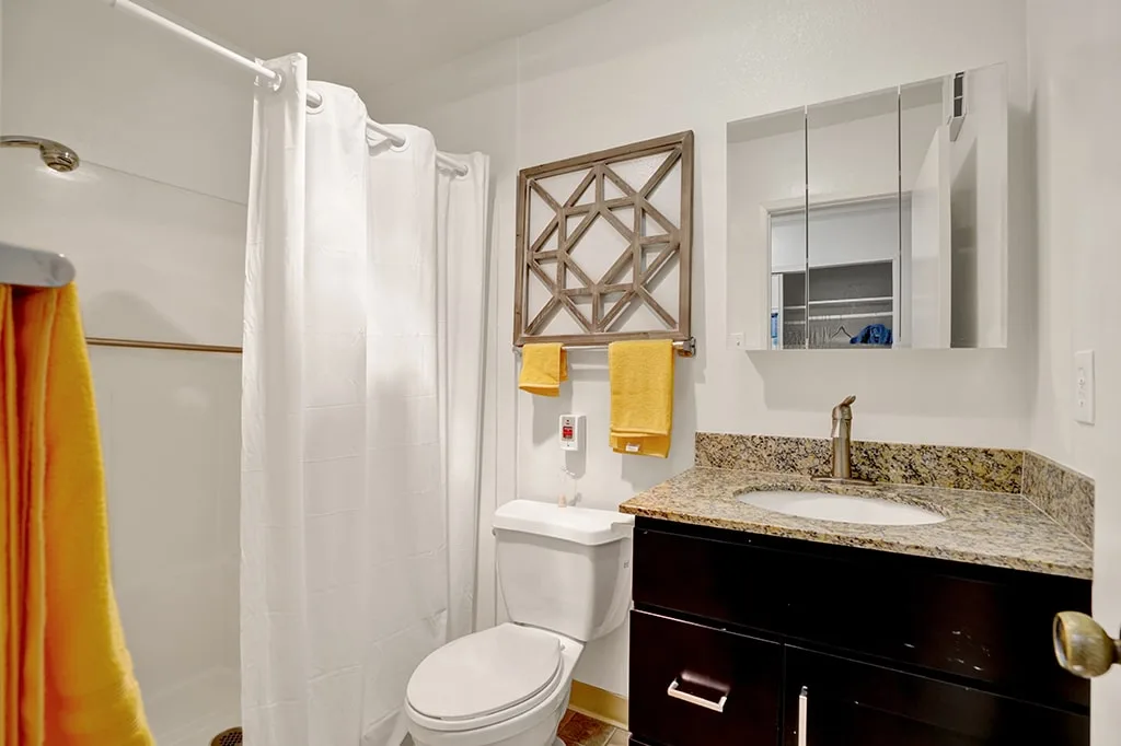 A bathroom fitted with grab rails and a shower seat